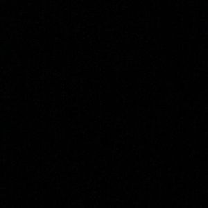 Meet your Posher, Kiley